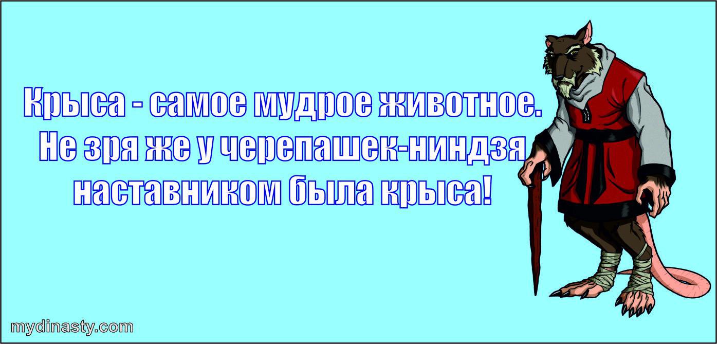 Картинки про людей крыс смешные